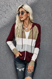 Zipped Front Colorblock Hollow-out Knit Hoodie